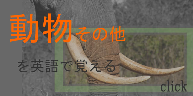 動物その他英語