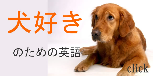 犬英語