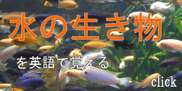 水の生き物を英語で