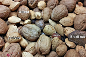 カナダでダイエットにおすすめの食材　Shelled Nuts（殻付きナッツ）