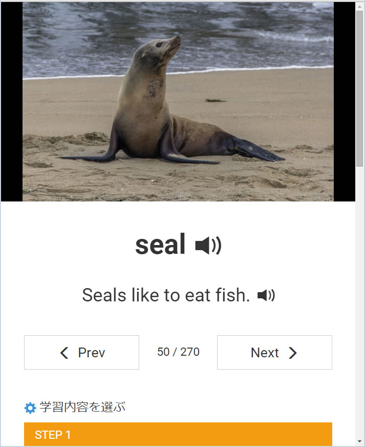 ピクチャーディクショナリー