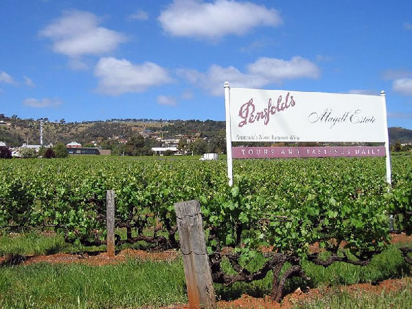 世界第4位のワイン生産国、オーストラリアのワイン文化