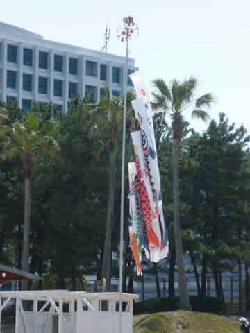 ドイツ人が喜ぶ日本のおみやげ 「die Karpfenfahne」(鯉のぼり) ドイツ人が喜ぶ日本のおみやげ 「die Karpfenfahne」(鯉のぼり)