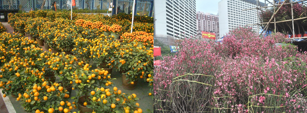 中華圏の春节の市場 花市