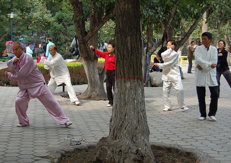 香港シニアに人気の「スポーツ」　太極拳