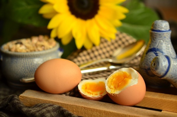ドイツのことわざ:卵の黄身ではない　“Nicht das Gelbe vom Ei ein“