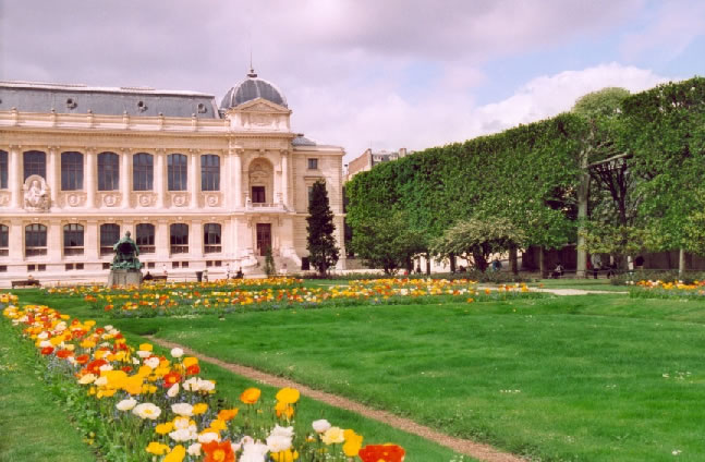 パリの穴場観光スポット　「Jardin des plantes」(植物の庭)