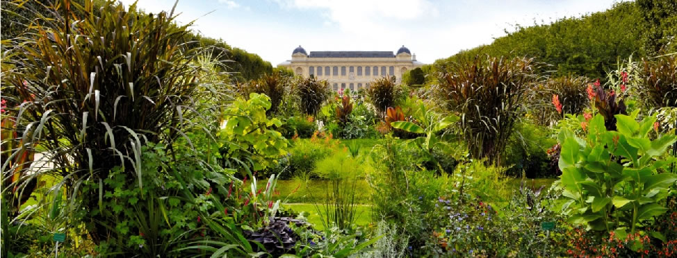 パリの穴場スポット　Jardin des plantes(植物の庭)