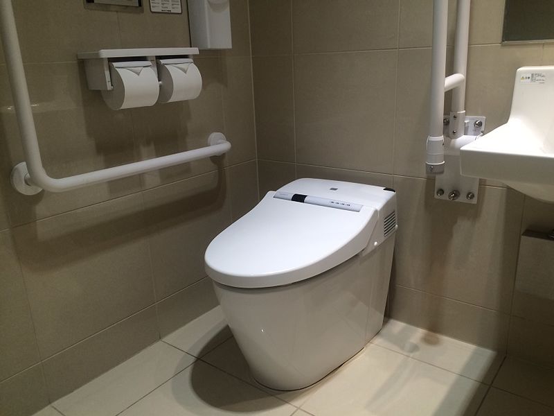 ロシア人が日本を訪れて驚くこと:トイレ